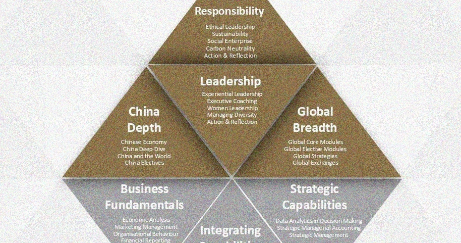 global business strategy coaching